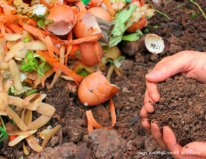 Vente de composteurs individuels